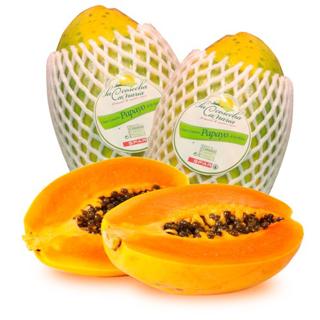 Papaya Spar cosecha canaria granel