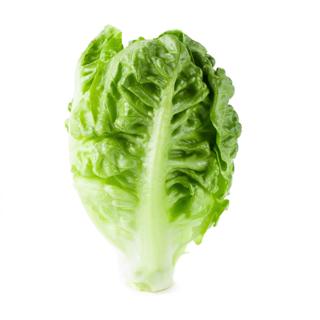 Lechuga Empaquetada UD