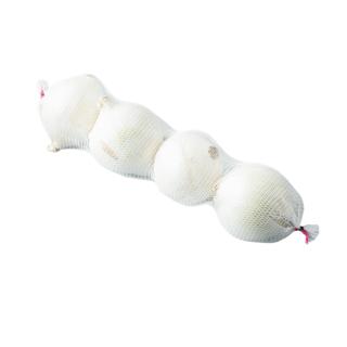 Cebolla Blanca Tubo