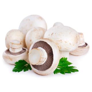 Champiñón Tierra granel