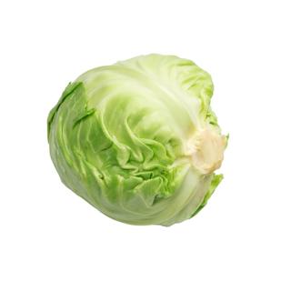 Lechuga Iceber UD