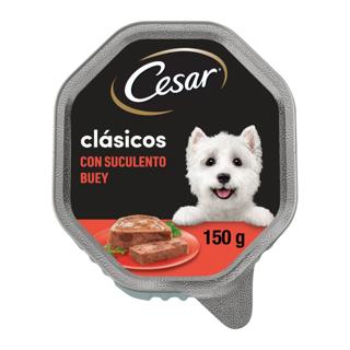 Comida Húmeda para perros Cesar con buey clásicos tarrina 150gr