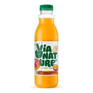 Zumo Via Nature de frutas ginseng y guaraná pet refrigerado 75cl