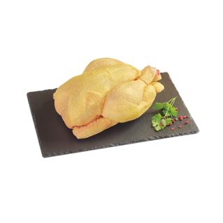 Pollo entero amarillo €/kg