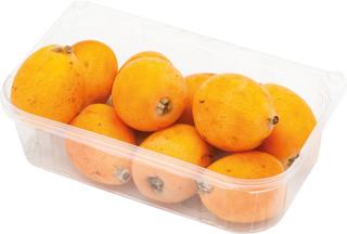 Níspero Tarrina 500Gr