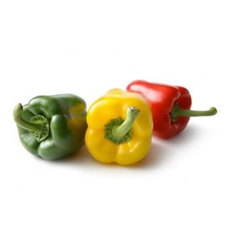 PIMIENTO TRICOLOR UD.500GR