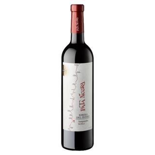 VINO PATA NEGRA TINTO D.O.RIBERA D. 75CL