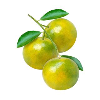 Naranja País Granel