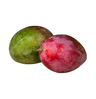Manga ecológica granel €/kg