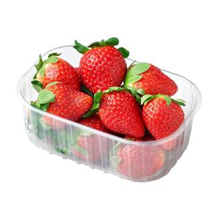 FRESON TARRINA 250GR.