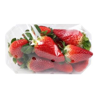 Fresón Tarrina 500gr