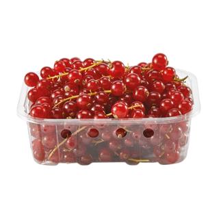 Grosella Tarrina 125gr