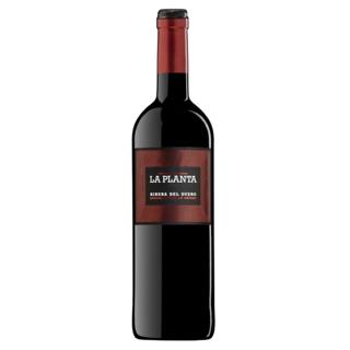 Vino La Planta tinto joven roble D.O Ribera del Duero 75cl