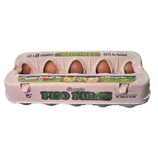 Huevos Piso Firme clase L 10UD