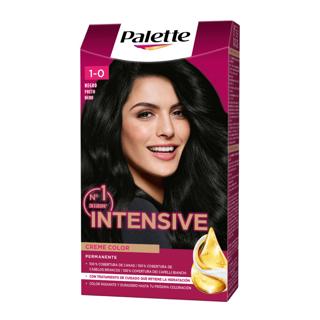 Tinte Palette intensive nº 1 negro 1UD