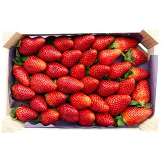 Fresón Bandeja/Caja 1kg